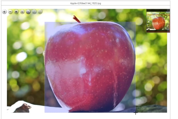 draw bounding box around the apple in the image
